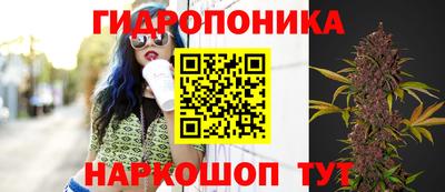 mix Заводоуковск