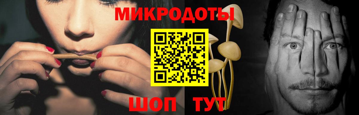 Галлюциногенные грибы ЛСД Луга